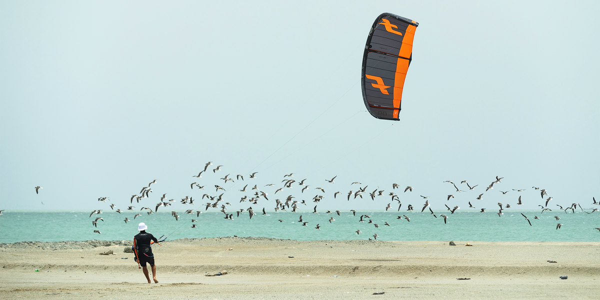 2024 / 2023 F-One BANDIT XVI Kite